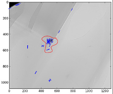 Sample with region of interest